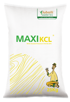 Maxi KCL.png